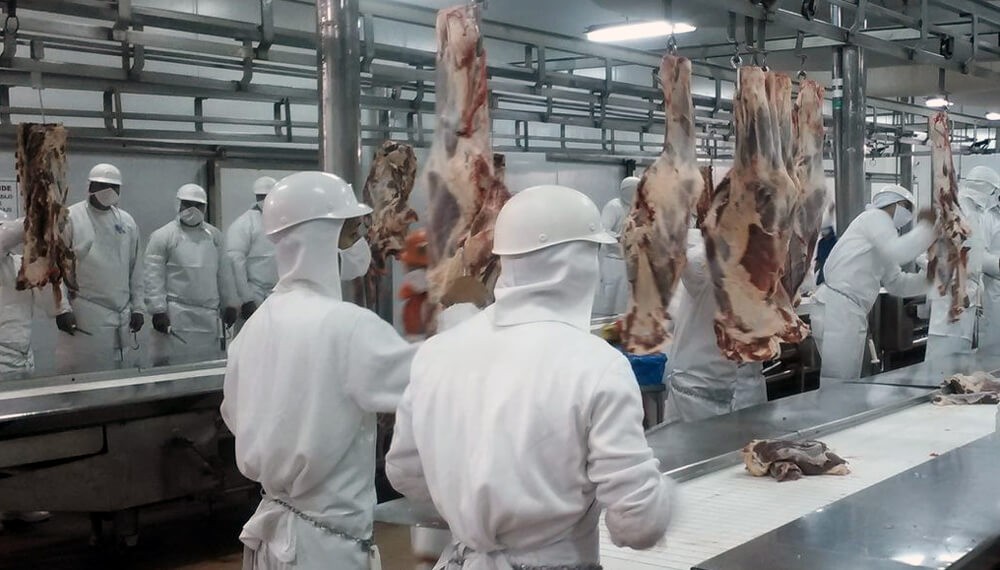 La carne bovina, con números en rojo: cae la faena y el consumo se desplomó a niveles históricos