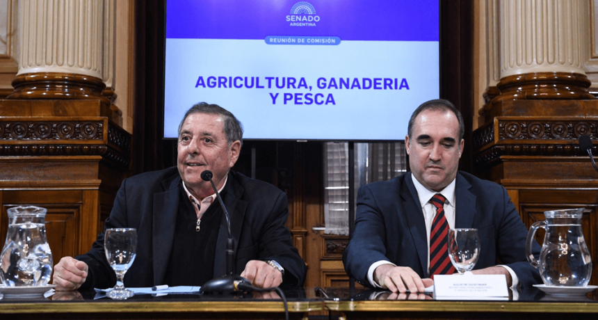 Alfredo De Angeli presidirá la Comisión de Agricultura del Senado