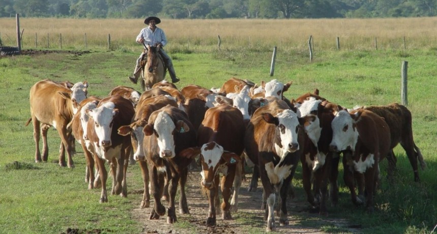 Ley Bases: Barbechando pidió cambios para que el trabajo agrario no quede afuera del tratamiento