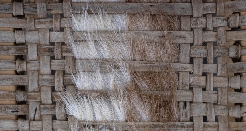 Argentina, donde el paisaje se vuelve cuero