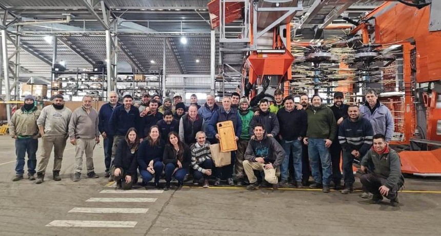 Tecnolog&iacute;a argentina conquista Australia y revoluciona la cosecha de aceitunas