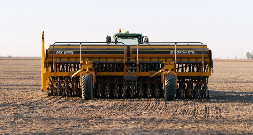 Pese a las buenas condiciones, se mantienen estables las intenciones de sembrar trigo en la zona núcleo