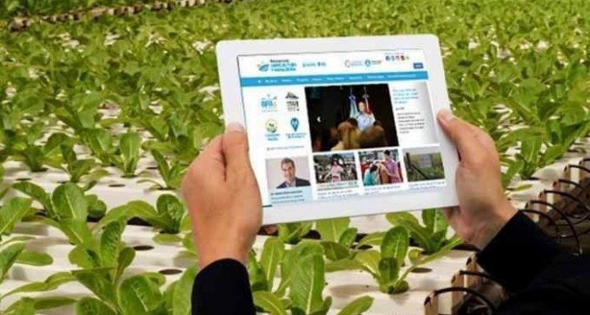 Las buenas prácticas agrícolas bonaerenses se presentarán en el Consejo Federal Agropecuario