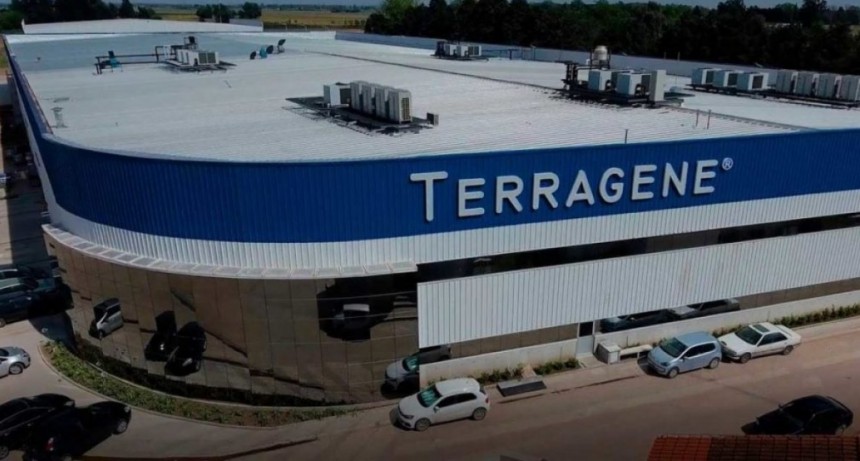 Producen hisopos nasofaríngeos íntegramente desarrollados en Argentina