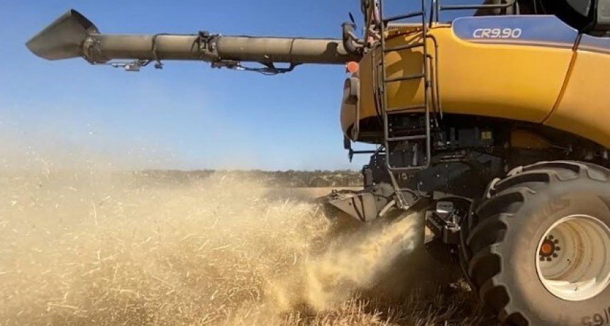 La cosecha, una oportunidad de control “no químico” de las malezas