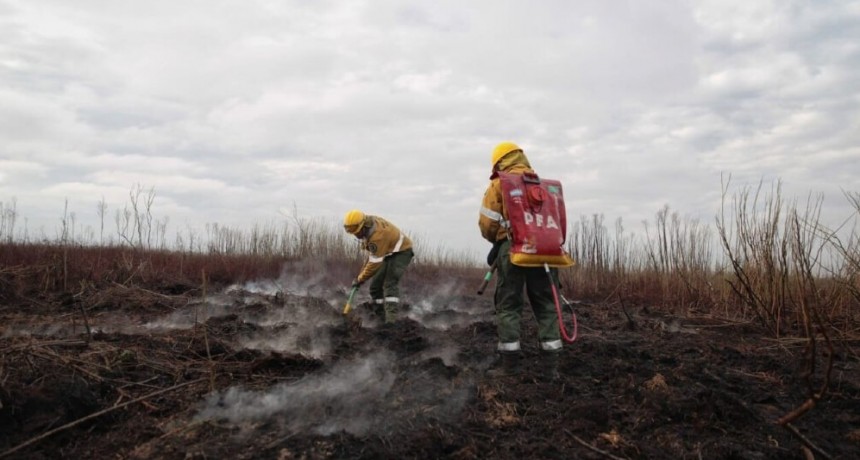 Miles de productores entrerrianos se adhirieron a la emergencia por sequía