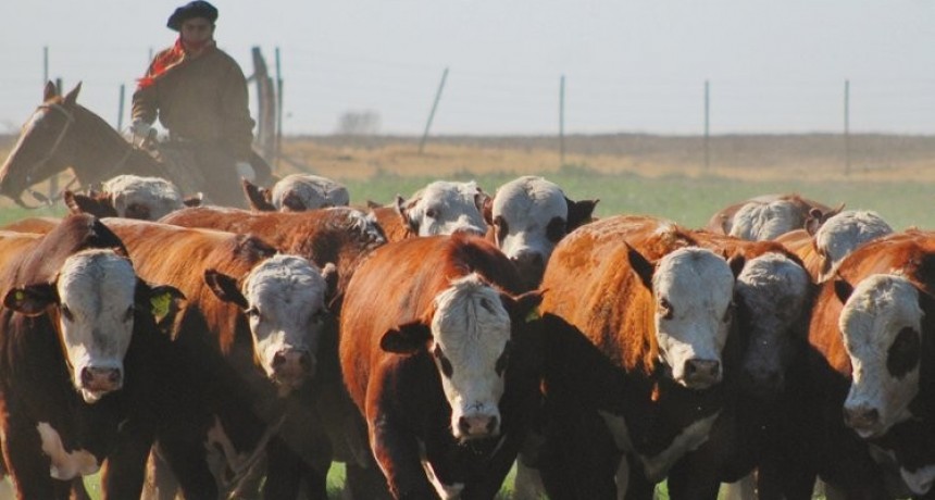 El Gobierno puso en marcha el Plan GanAr: cuáles serán sus objetivos y alcances