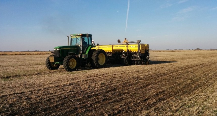 El área de trigo sigue sumando votos en contra para la próxima siembra