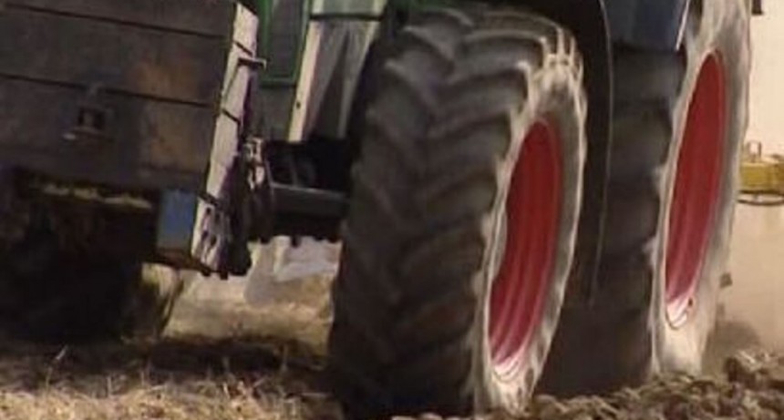 El Gobierno asegura que se está aprobando una importación récord de neumáticos