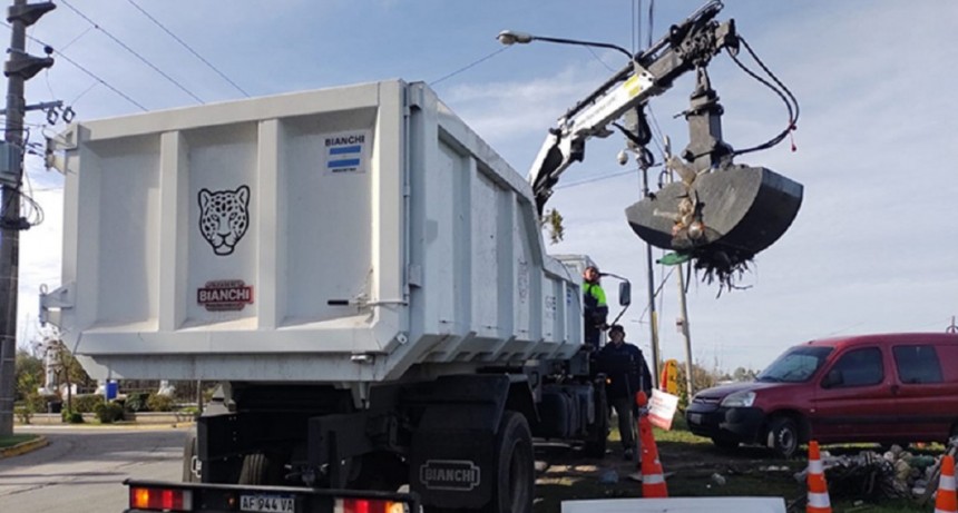 Gestión ambiental: el Municipio de Tigre y Provincia realizaron un operativo de limpieza en el arroyo El Claro