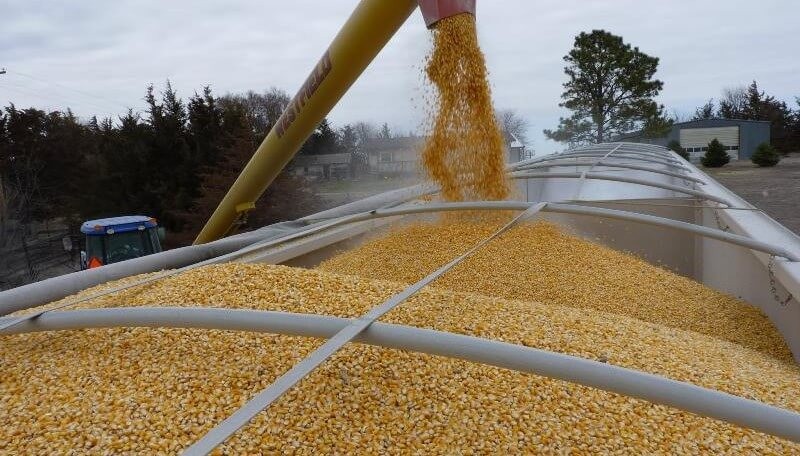 El Gobierno formalizó el fin de los cupos a las exportaciones de trigo y maíz