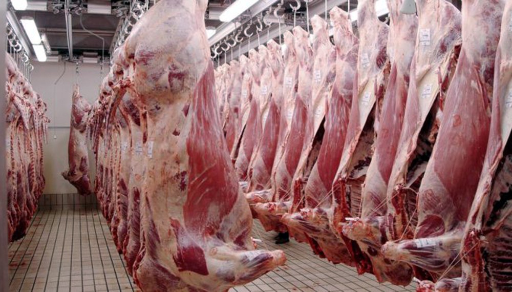 Alivio en la carne bovina: la faena cae menos de lo esperado y se espera un segundo semestre a buen ritmo