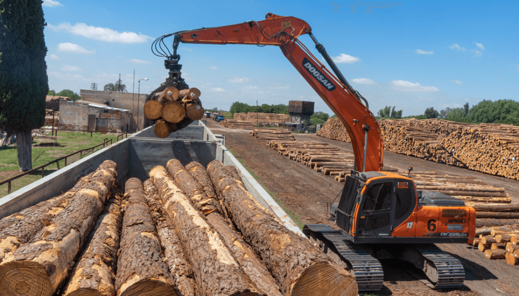 La industria forestal quiere construir más exportaciones y ve en Ucrania una oportunidad