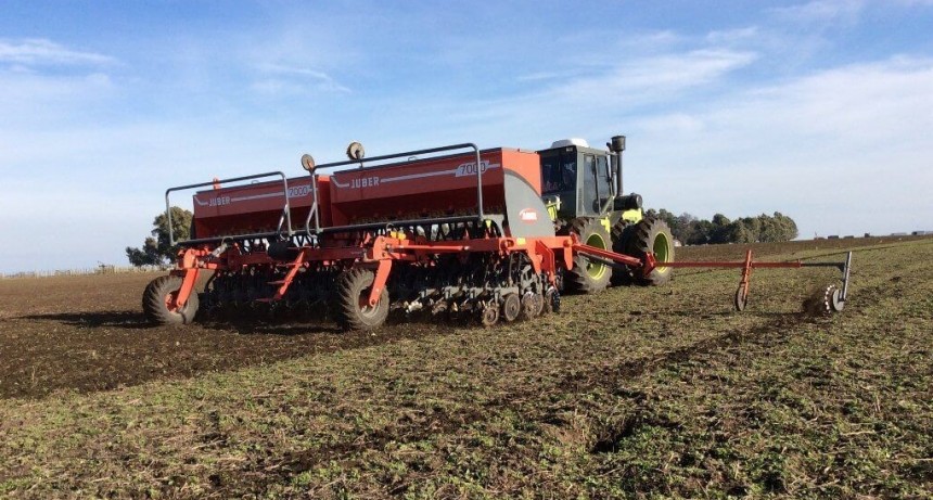 Desde Córdoba también soplan los nuevos vientos optimistas para el trigo 
