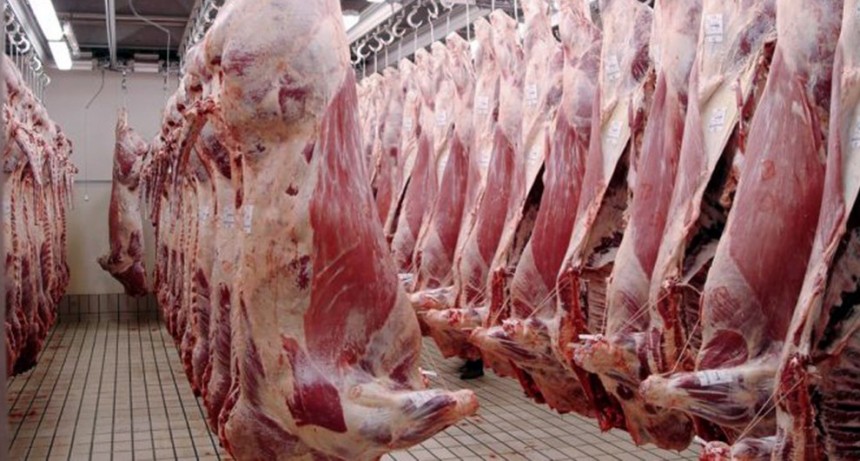 Alivio en la carne bovina: la faena cae menos de lo esperado y se espera un segundo semestre a buen ritmo