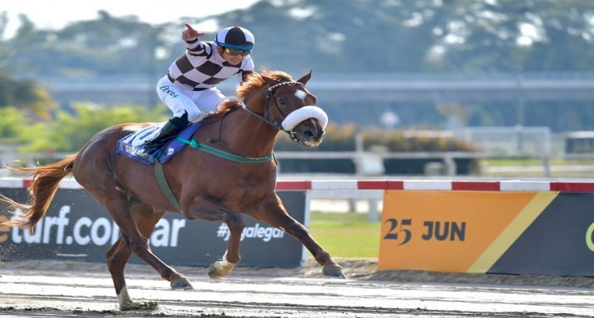 De los haras a los hipódromos: los impresionantes números de los caballos pura sangre en Argentina