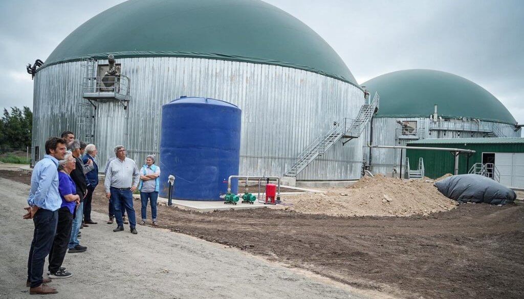 En Coronel Brandsen, los huevos ya generan energía y también pueden alimentar a los cultivos