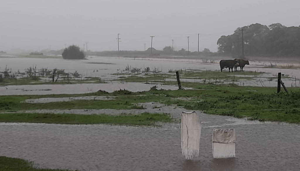 Un desastre en pleno otoño: Buenos Aires bajo el agua y hay alerta rojo por más lluvias