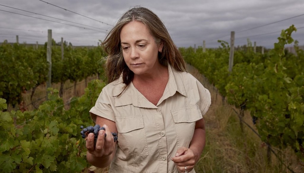 “Todos los días intento emocionar con los vinos”: Mariela, la enóloga, agrónoma y docente que torció la historia