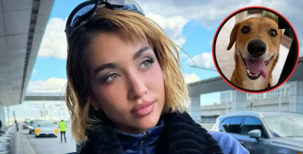 El conmovedor gesto de María Becerra con los perros rescatados tras el fuerte temporal en Buenos Aires