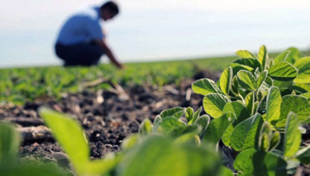 El desafío de “humanizar” la toma de decisiones a campo: “Están faltando ingenieros agrónomos”