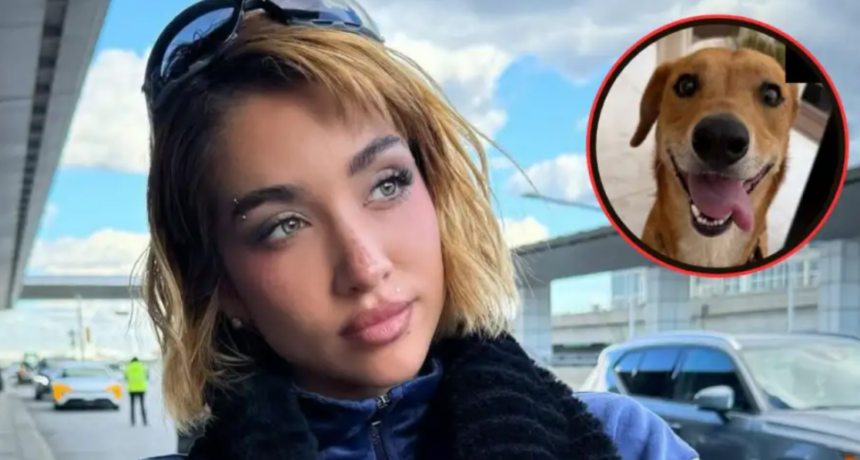 El conmovedor gesto de María Becerra con los perros rescatados tras el fuerte temporal en Buenos Aires