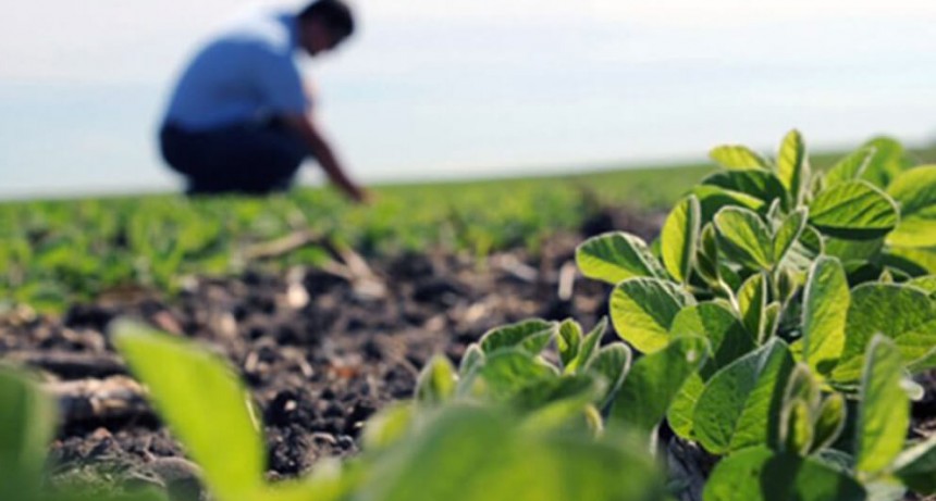 El desafío de “humanizar” la toma de decisiones a campo: “Están faltando ingenieros agrónomos”