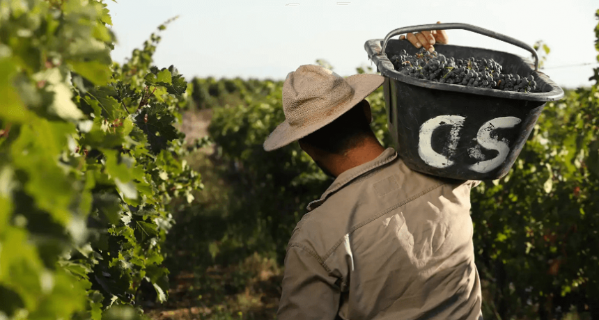 Mendoza lanzó un plan para asistir a productores afectados por el clima y sostener el empleo rural