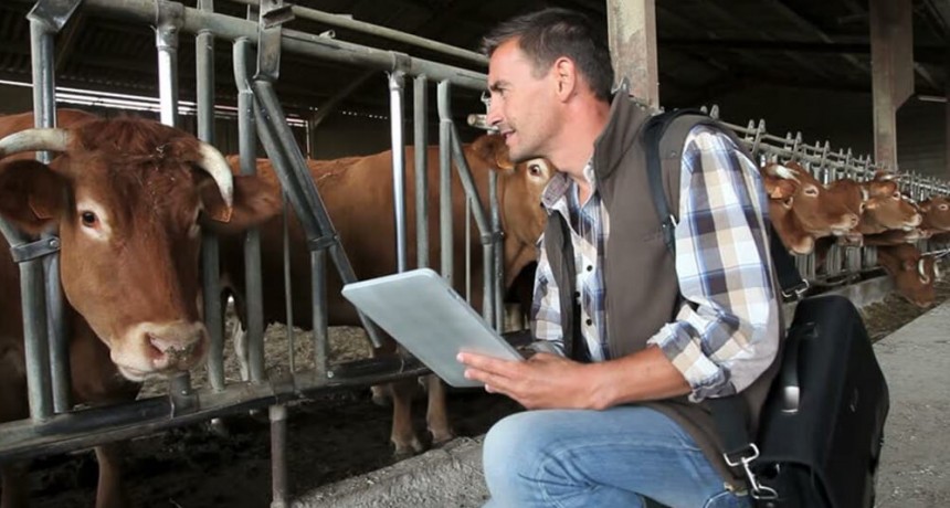 El cierre de las exportaciones de carnes “detonó” la confianza de los productores