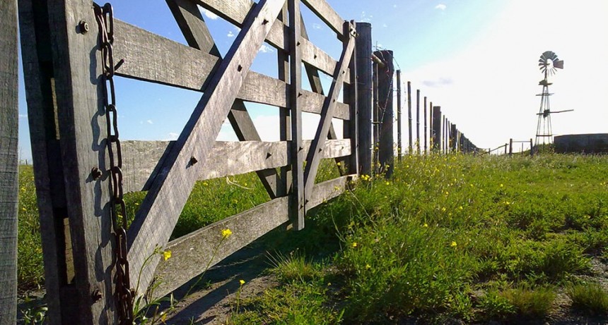 Mayo marcó un repunte del 18% para la actividad del inmobiliario rural