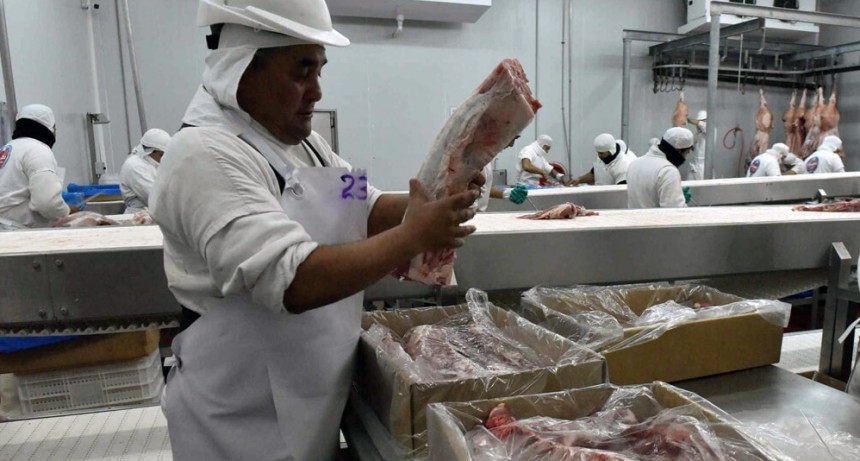 En la semana del cerdo destacan que la balanza comercial de la cadena fue positiva en 2020