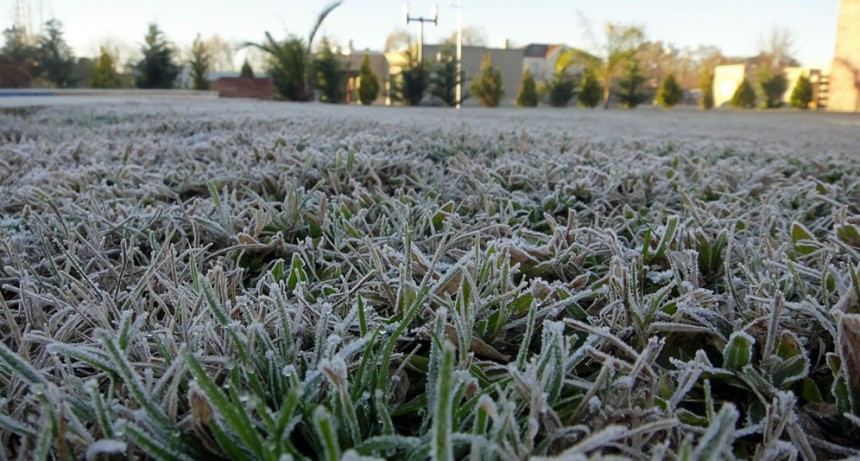 Afirman que el invierno será frío y seco, y puede ser “una grave amenaza para el trigo”