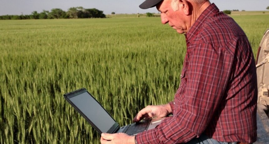 Crearon una web gratuita para comparar rindes y evaluar costos de trigo, cebada y maíz