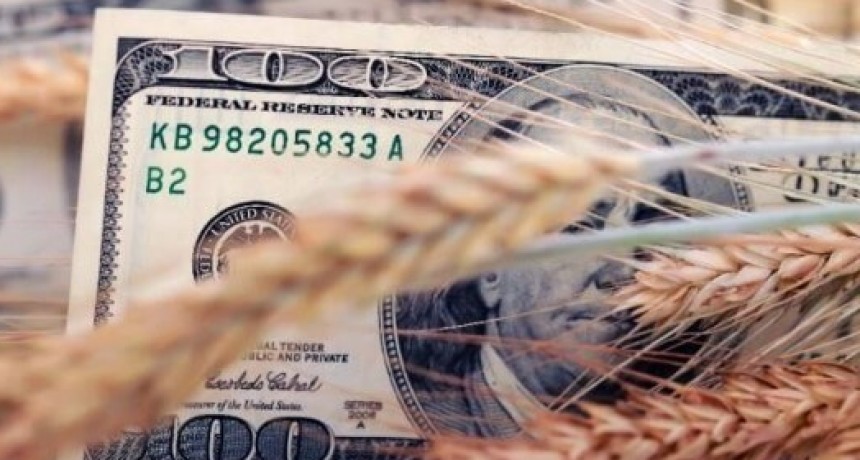 Las cadenas del agro rechazaron la continuidad del fideicomiso triguero, con fondos de las retenciones