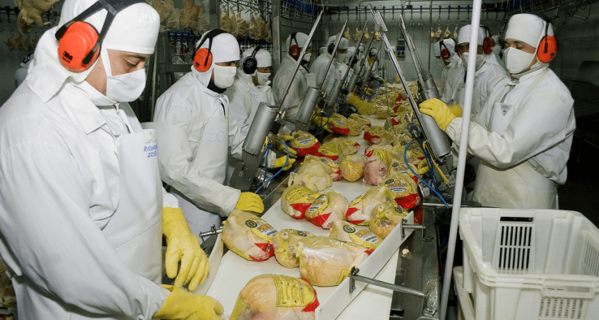 Gripe aviar: desde China llegó un alivio para la cadena avícola argentina
