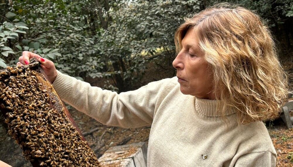 A los 11 años comenzó con su primera colmena y nunca más paró: Marisel, la “reina” de las abejas