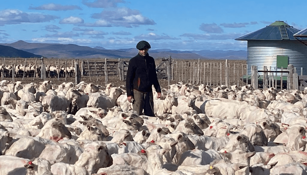 Ignacio, el joven veterinario que busca hacer escalar la ganadería al pie de la cordillera patagónica