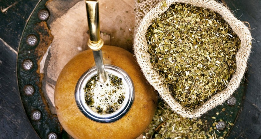 Radiografía de la yerba mate: ¿cuánto consume por año cada persona en Argentina?