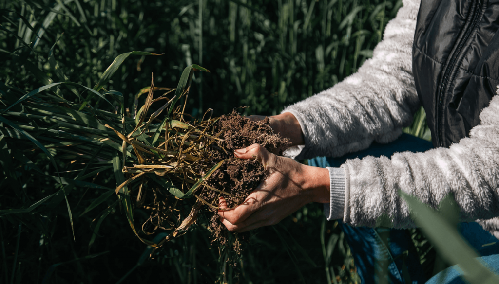 “ARC”: Aapresid lanzó una certificación para productores que practican agricultura regenerativa