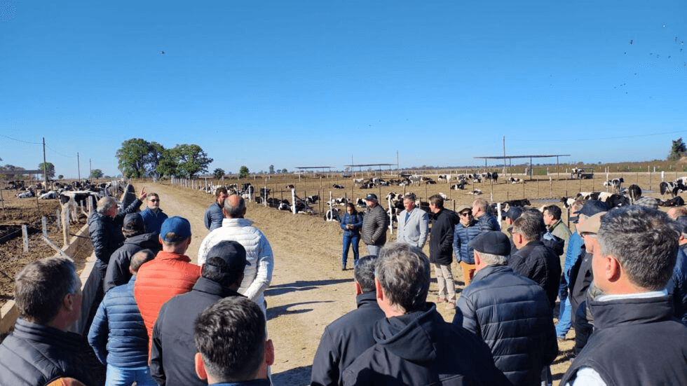 Ganadería asociativa: en Humboldt se inauguró el primer feedlot cooperativo del país