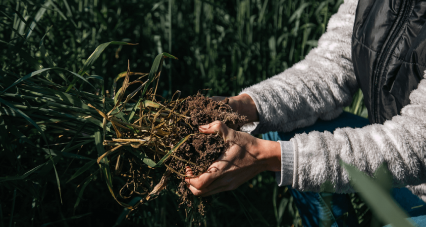 “ARC”: Aapresid lanzó una certificación para productores que practican agricultura regenerativa