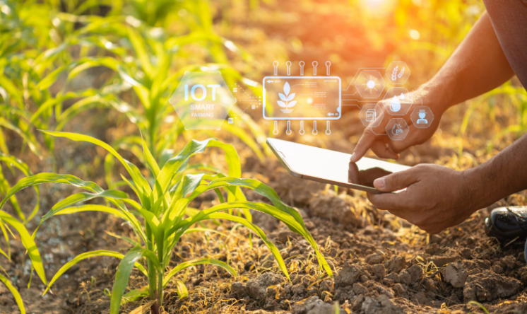 El agro en la nueva era digital: &ldquo;Tenemos que animarnos a reimaginar lo posible&rdquo;
