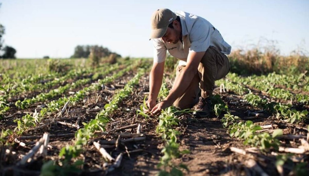 Argentina lanz&oacute; al mundo un nuevo herbicida contra malezas resistentes