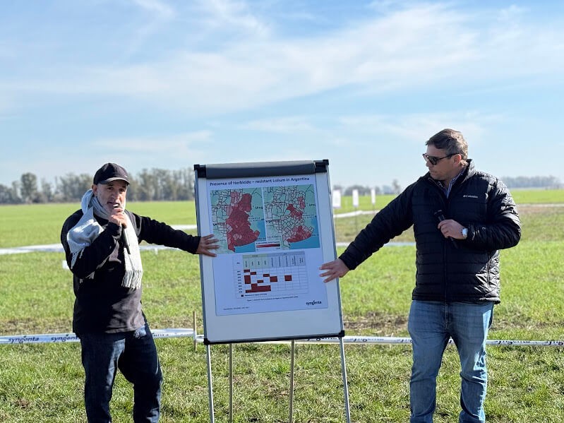Nueva mol&eacute;cula en Sol&iacute;s logra control casi total de malezas resistentes en ensayos a campo