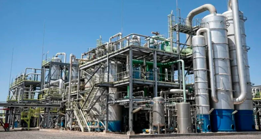 Biodi&eacute;sel, una industria que languidece: por qu&eacute; el corte al 15% es un camino justo