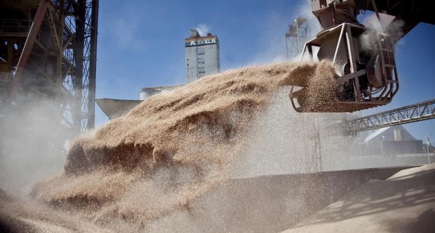 La salida de granos de Ucrania para abastecer al mundo 