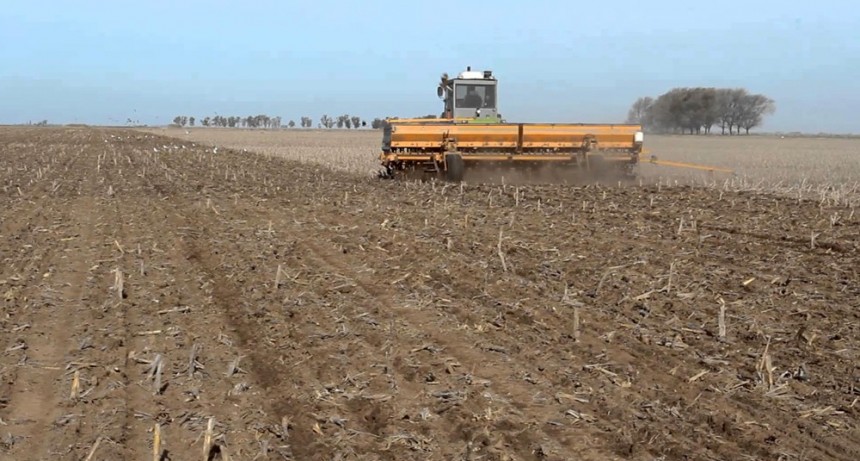 La cebada tomó impulso en el sur y terminó la siembra con más hectáreas que el año pasado