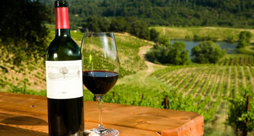 Vinos “desalcoholizados”: una tendencia que crece a nivel global y ya se testea en Argentina