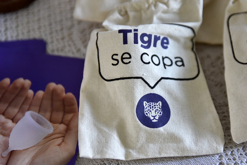 El Municipio realizó un nuevo encuentro del programa Tigre se COPA
