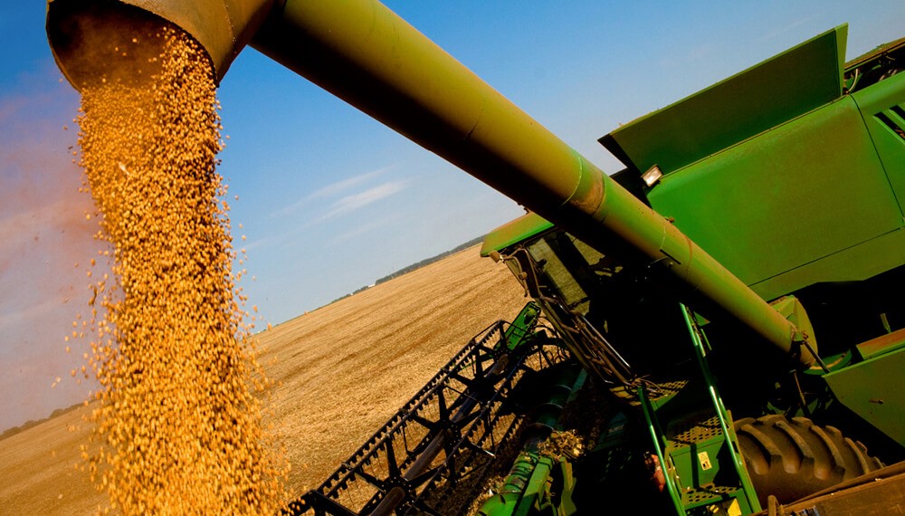 Las cosechas récord en todo el mundo presionan a la baja los precios de los principales granos